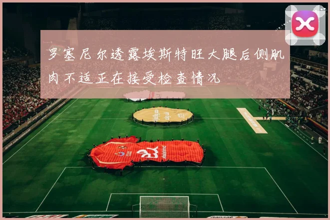 罗塞尼尔透露埃斯特旺大腿后侧肌肉不适正在接受检查情况